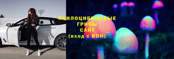 ешки Лагань