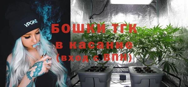ешки Лагань