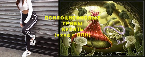 mdpv Ладушкин