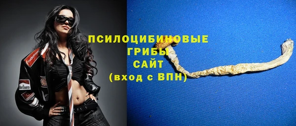 ешки Лагань